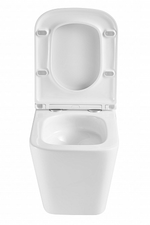 Подвесной унитаз безободковый Terminus Ватикан Monolit 490х340 белый Буйнакск - фото 7