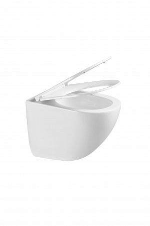 Подвесной унитаз безободковый Terminus Аврора Monolit 495х360 белый Буйнакск - фото 8