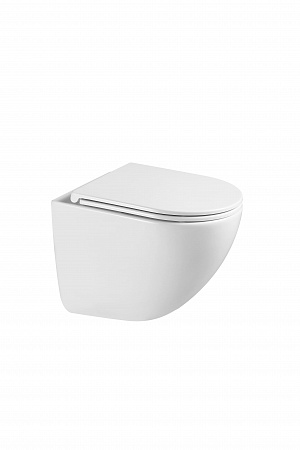 Подвесной унитаз безободковый Terminus Аврора Monolit 495х360 белый Буйнакск - фото 4