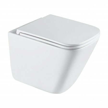 Подвесной унитаз безободковый Terminus Ватикан Monolit 490х340 белый Буйнакск - фото 2