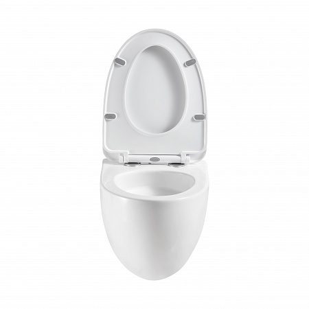 Подвесной унитаз безободковый Terminus Енисей Monolit 560х390 белый Буйнакск - фото 5