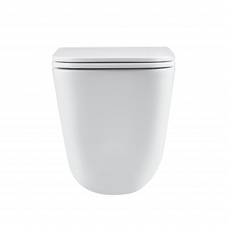 Подвесной унитаз безободковый Terminus Ватикан Monolit 490х340 белый Буйнакск - фото 6