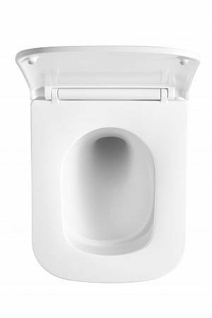 Подвесной унитаз безободковый Terminus Ватикан Monolit 490х340 белый Буйнакск - фото 3